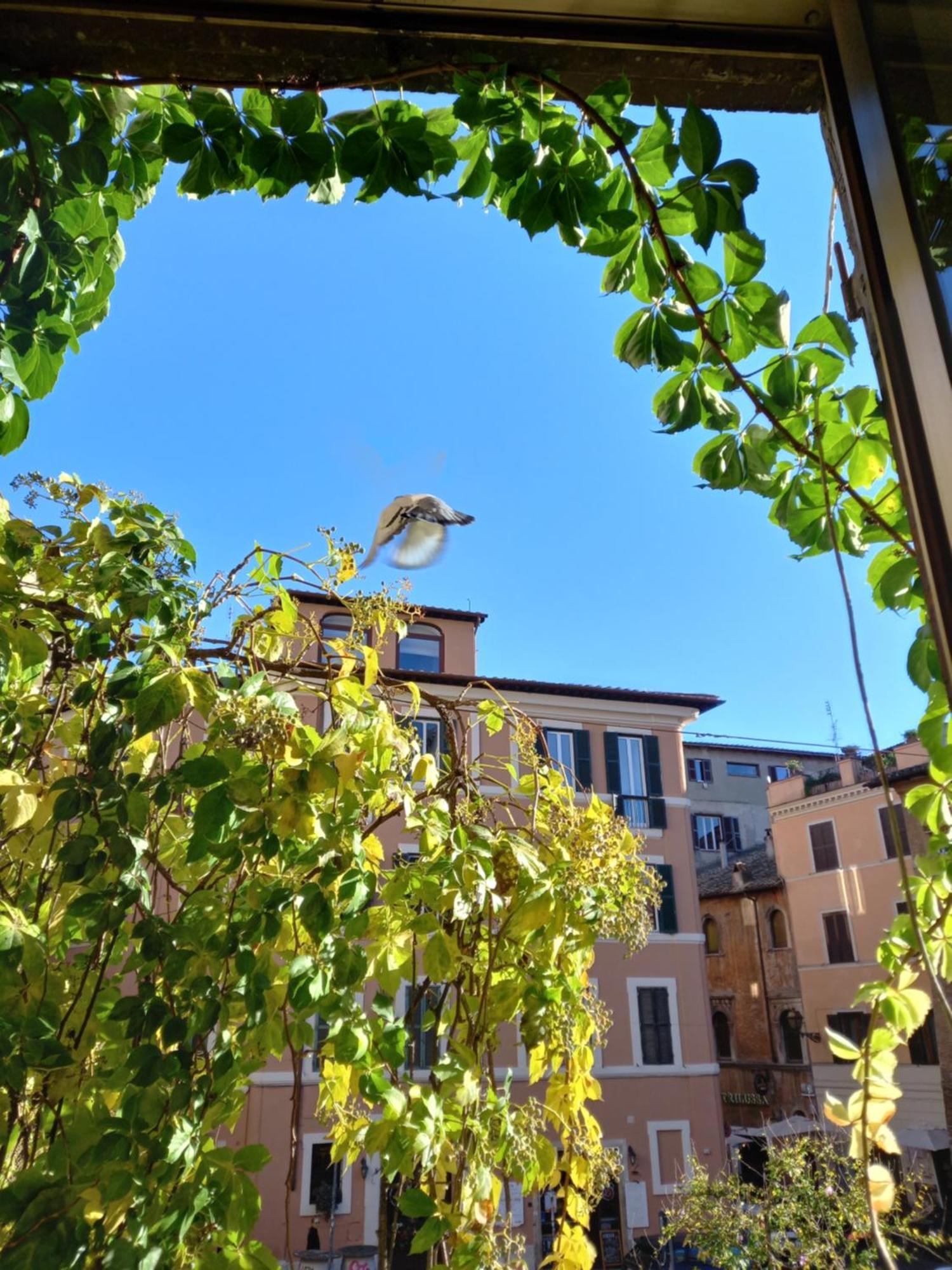 Central Apartment In Trastevere Roma Oda fotoğraf